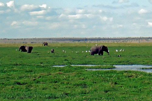 Kenia (254)